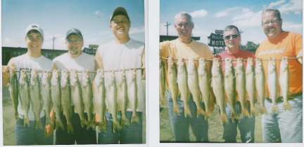 July South Dakota Walleyes  7/12/2007