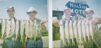 Nice Stringers of Walleyes  7/28 - 29/2007
