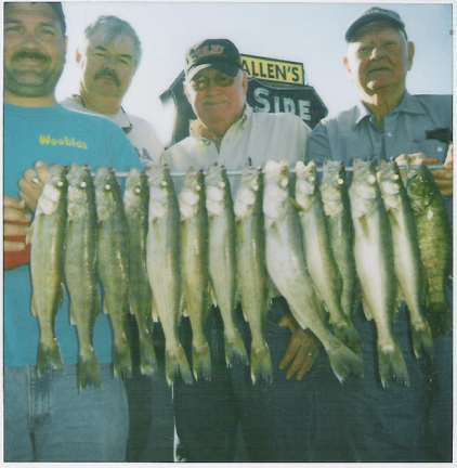 Nice Walleyes  6/13/2008