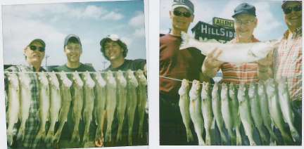Nice South Dakota Walleyes  7/19/2008