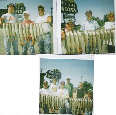 2 Wonderful Days of Walleye Fishing  7/31 - 8/1/2008
