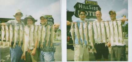 Let's Catch Some Walleyes  8/2/2008