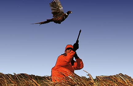 Chamberlain South Dakota Pheasant Hunting